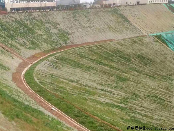 鐵路路基護坡綠化工程應(yīng)用