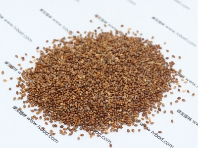 紫花地丁種子價(jià)格_圖片_種植方法