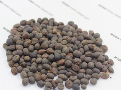 毛苕子種子的零售價(jià)格多少錢(qián)