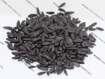 多頭向日葵種子的市場價格是多少？