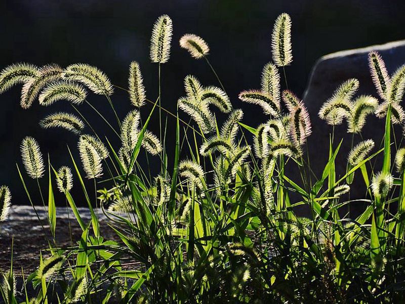 1598099192370625.jpg 11.jpg