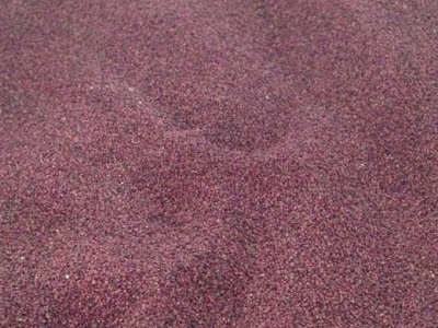 蛇莓種子播種方法？