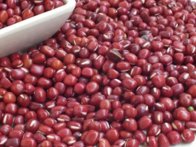 紅豆種子什么時(shí)候種怎樣種？