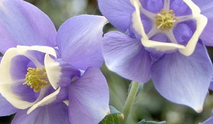 1630568764745907.jpg 1630568764745907.jpg