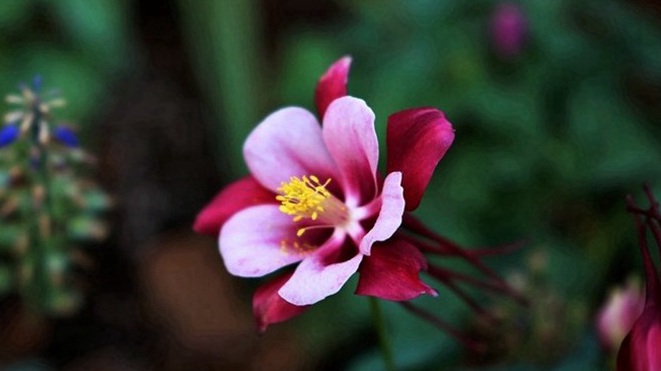 1630568771298037.jpg image.jpg