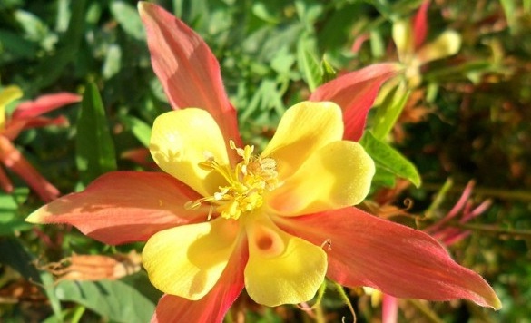 1630655518637964.jpg image.jpg