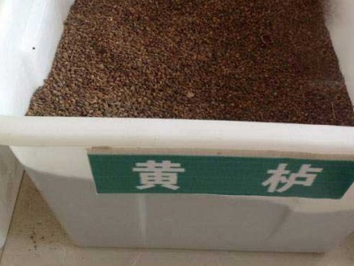 黃櫨種子幾月播種？