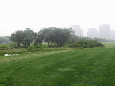 高羊茅種子播種的時(shí)間是幾月？