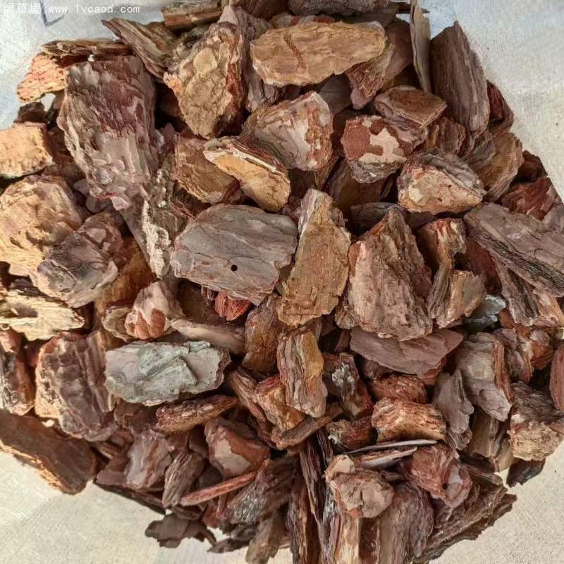 松鱗松樹皮有機(jī)覆蓋物